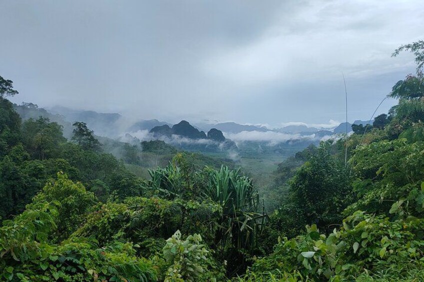 Un paisaje exuberante y verde con vegetación densa, un valle brumoso y montañas distantes. 4