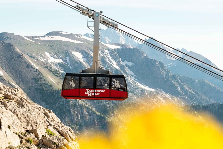 Jackson Hole: Aerial Tram and Gondolas Admission Ticket 1