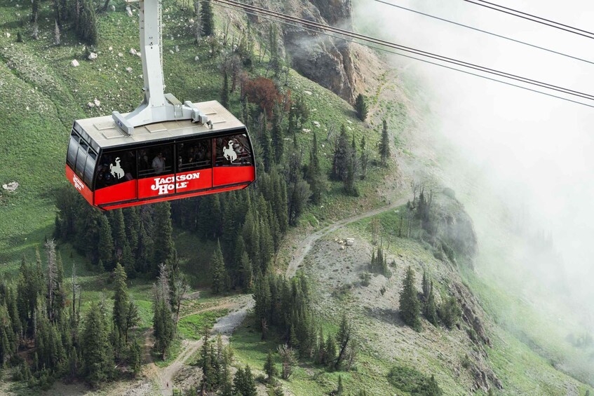 Picture 11 for Activity Jackson Hole: Aerial Tram and Gondolas Admission Ticket 3