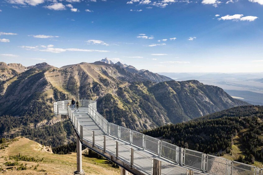 Picture 3 for Activity Jackson Hole: Aerial Tram and Gondolas Admission Ticket 5