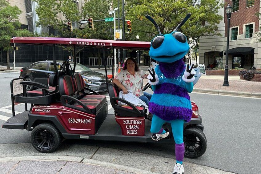 Charlotte's Ultimate Southern Charm Historical City Cart Tour 2