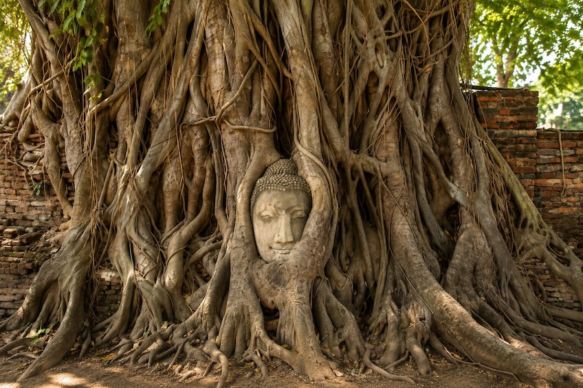 Ayutthaya Heritage: UNESCO World Heritage Temples & Traditional Lunch 1