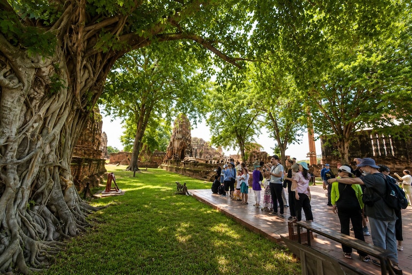 Ayutthaya Heritage: UNESCO World Heritage Temples & Traditional Lunch 3