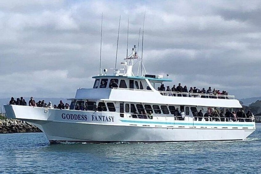 Goddess Fantasy vessel for Sea Goddess whale watching Monterey Bay out of Moss Landing, California. 3