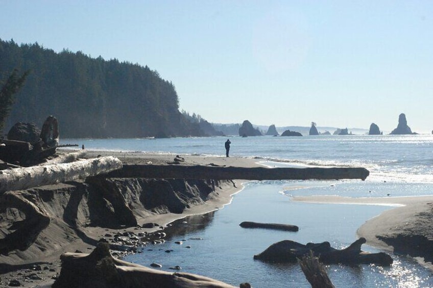 A rocky shoreline with a person standing on the beach, waves crashing, and forested cliffs in the background. 5