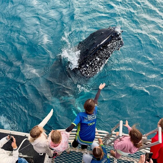 A whale breaching the water, with people on a boat watching. 2