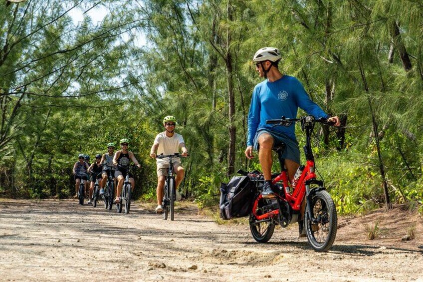 Un grupo de ciclistas en un camino de tierra rodeado de pinos. 1