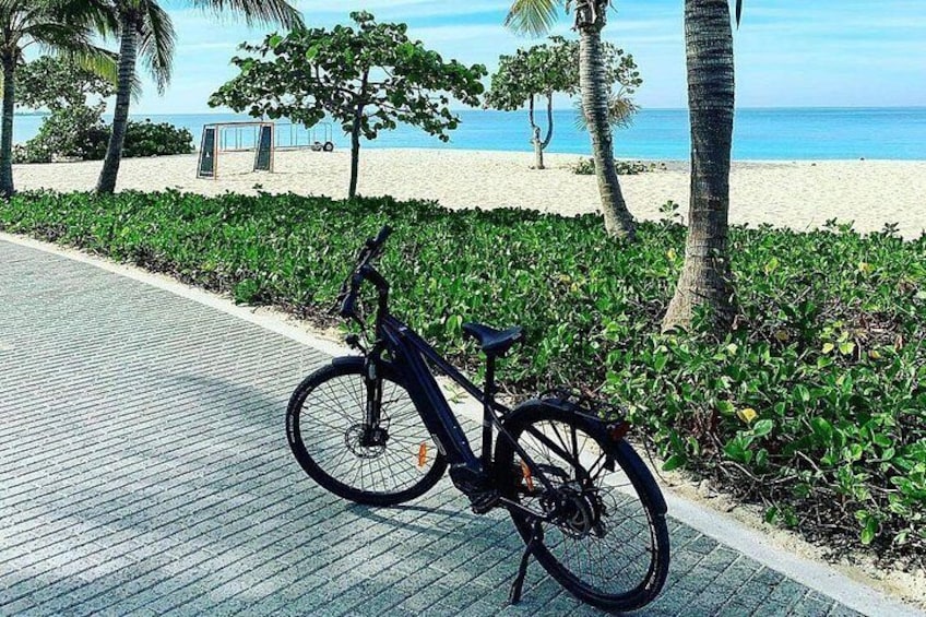 Small Group E-Bike Grand Cayman Ecological Half-Day Tour 5