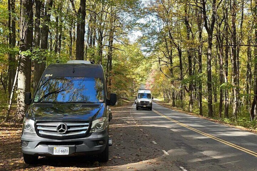 A Mercedes-Benz 204 parked on a forest road with a white van ahead. 4