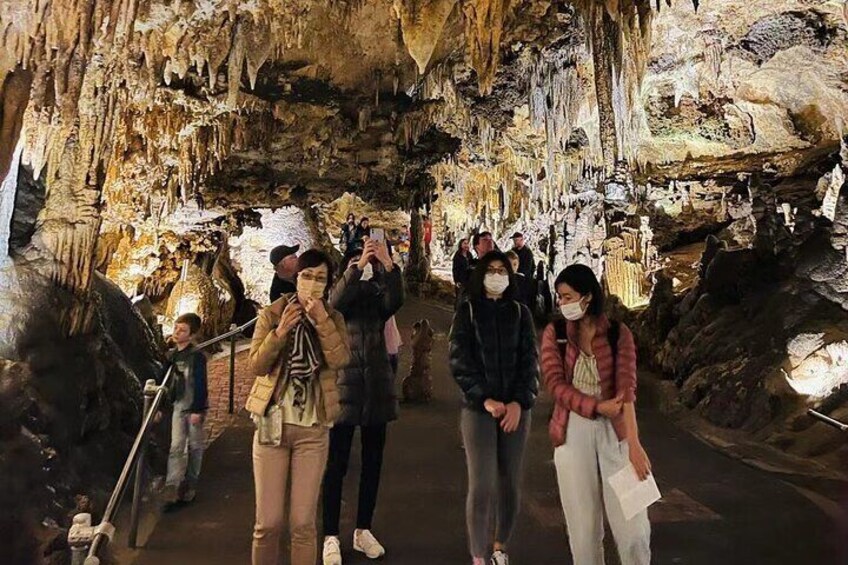A group of people inside a cave with stalactites and stalagmites. 5