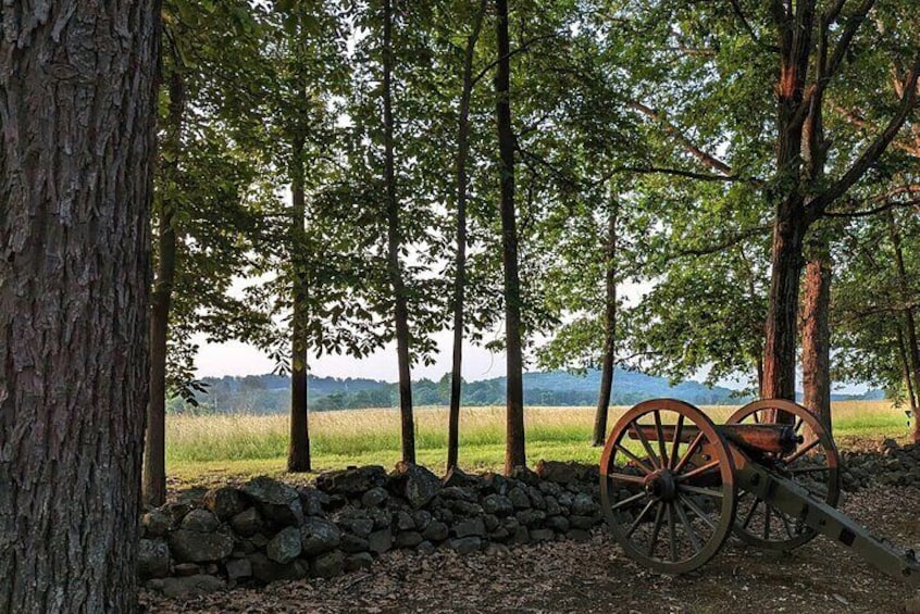 A cannon in a forest with a stone wall and trees. 3