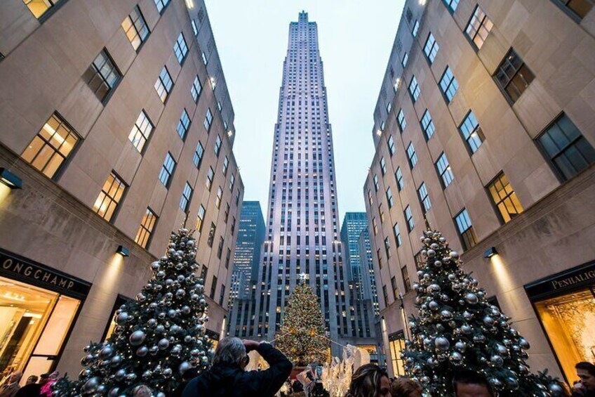 A tall building with two Christmas trees in front. 3