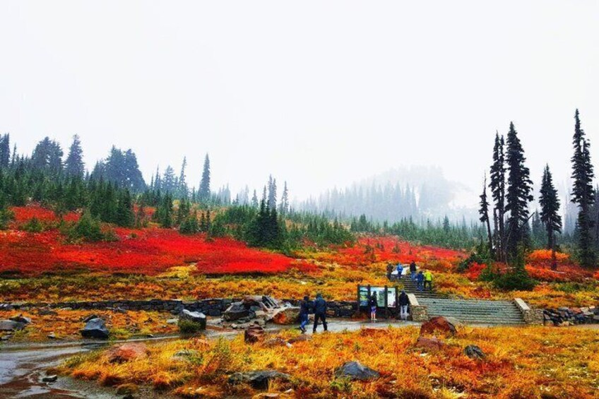 A forested landscape with vibrant autumn foliage, a wooden staircase, and people hiking. 2