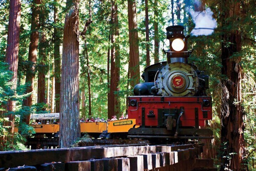 BEST Redwood Forest Steam Train and Santa Cruz Harbor Day Trip 1