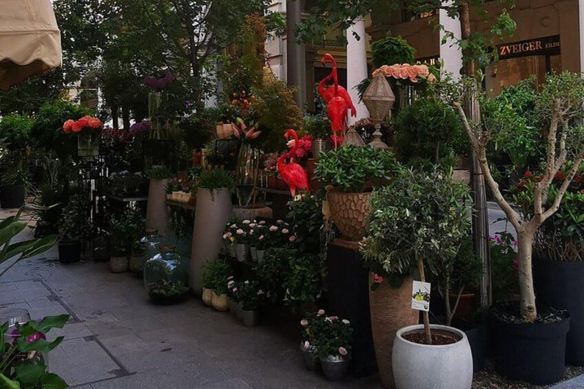 Small-Group Lake Como & Lugano: 2 Countries in 1 Day, Boat Cruise 2