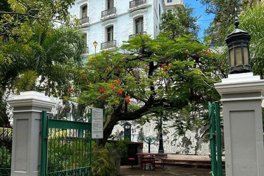 Old San Juan Historical Walk, Shopping, and Dining w/ Transport 5