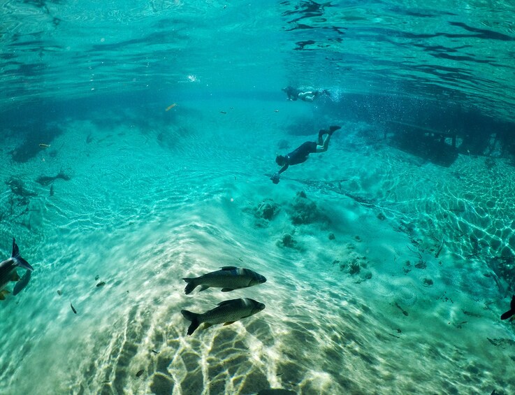 Floating at Rio da Prata River