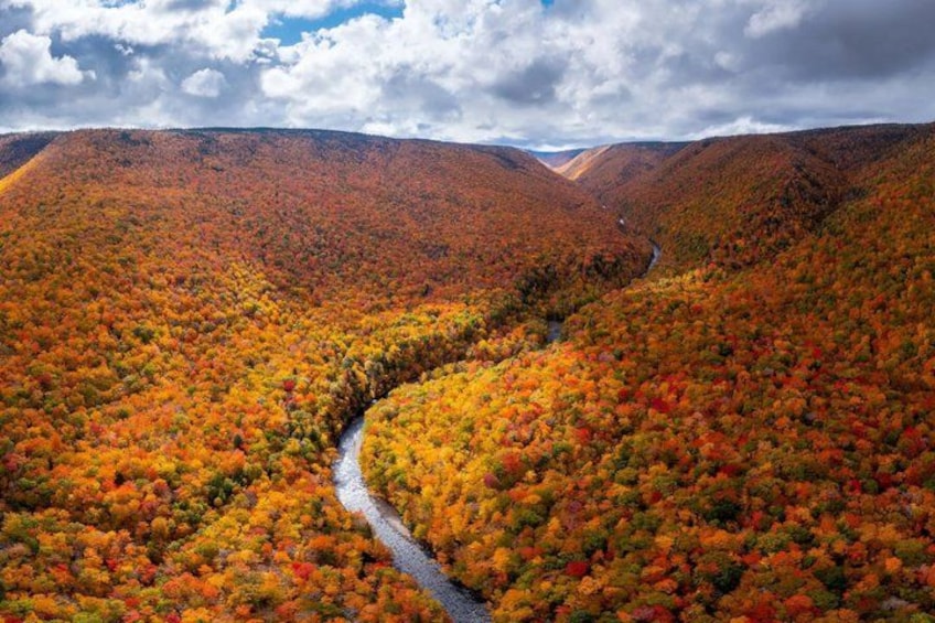 A river winding through a forested valley with autumn foliage. 5