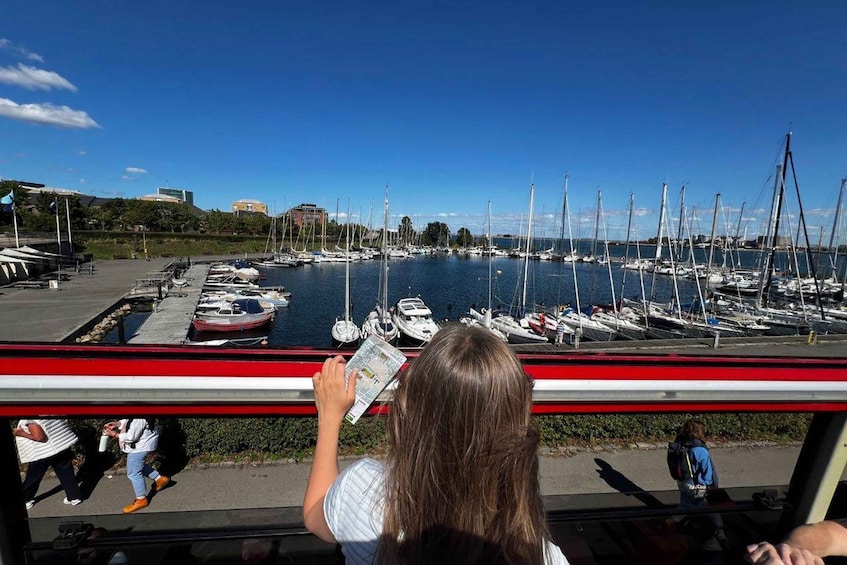 A marina with numerous sailboats docked. 5