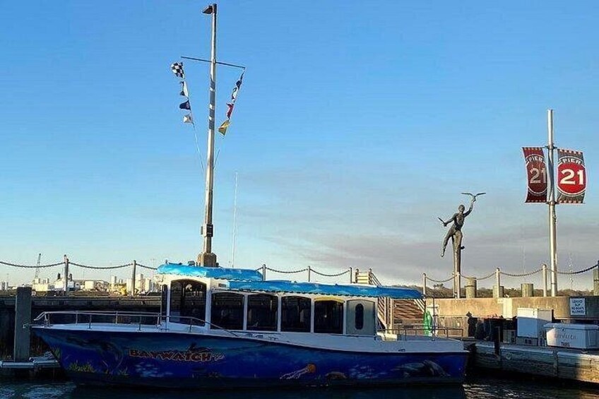 Baywatch Dolphin Tours – Pier 21 Galveston 2