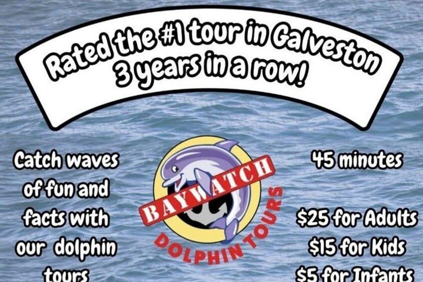 Baywatch Dolphin Tours – Pier 21 Galveston 3