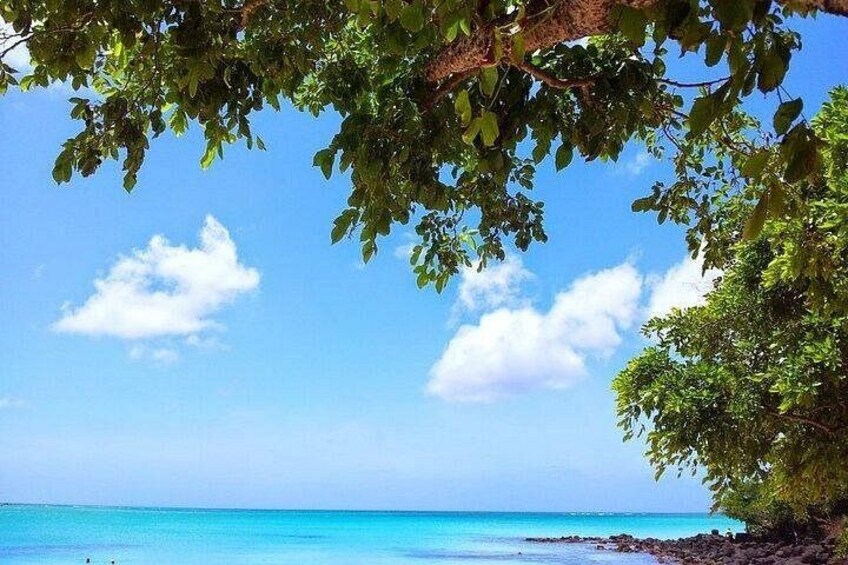 Beaches in the North of Mauritius 4