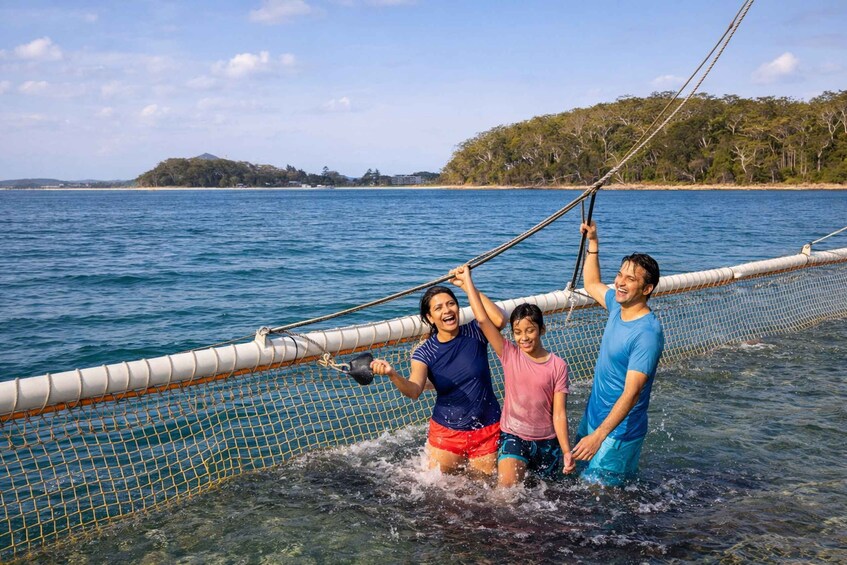 Picture 2 for Activity Port Stephens: Dolphin Discovery Cruise 3