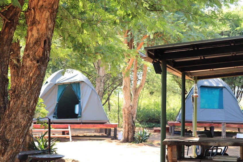 Picture 2 for Activity Pilanesberg: Two-Day Camping Adventure from Johannesburg