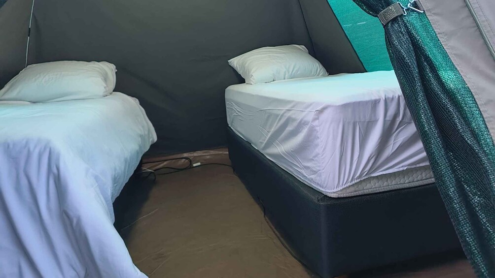 Picture 4 for Activity Pilanesberg: Two-Day Camping Adventure from Johannesburg
