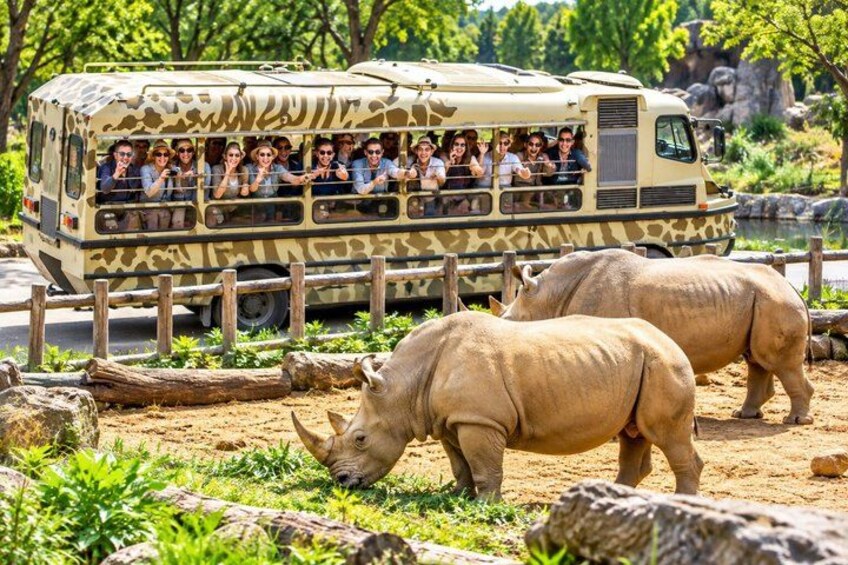 Private Everland Theme Park Tour 3