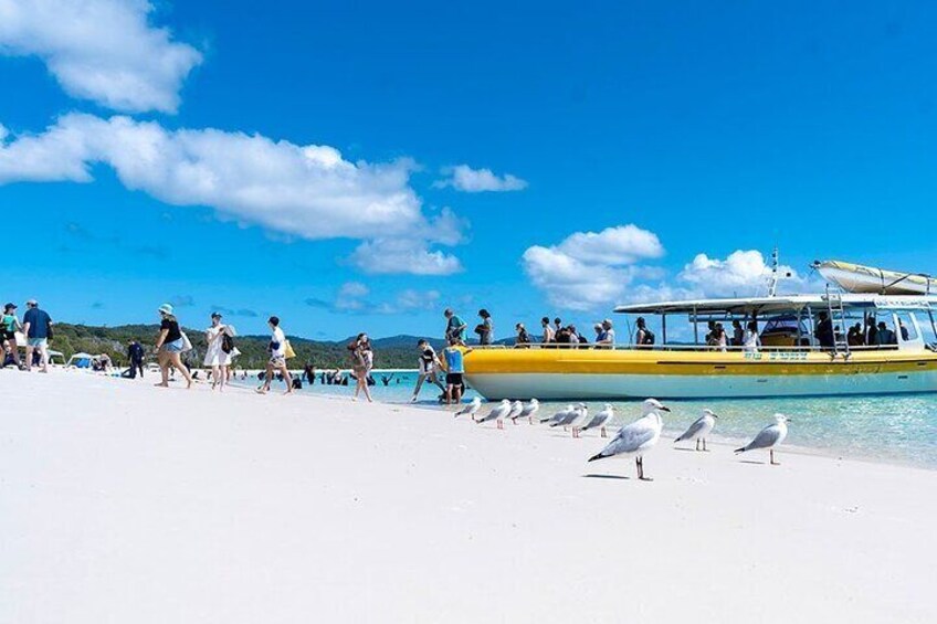 1-Day Whitsunday Islands Cruise: Whitehaven Beach and Hill Inlet 2