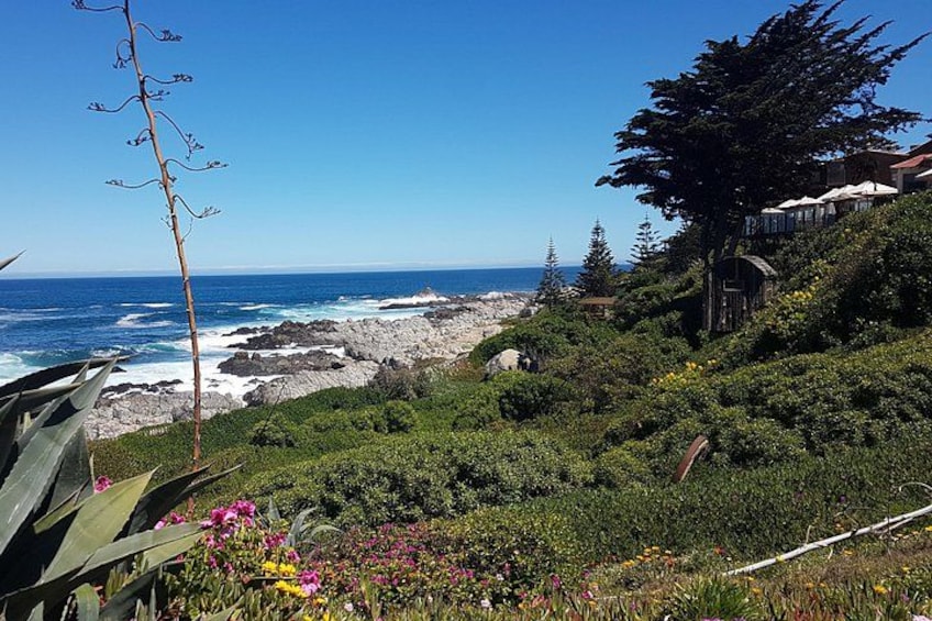 A coastal landscape with rocky terrain, dense greenery, and a clear blue sky. 5