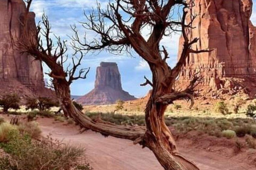 1.5 Hour Jeep Tour in Monument Valley 4