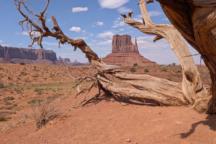 1.5 Hour Jeep Tour in Monument Valley 5