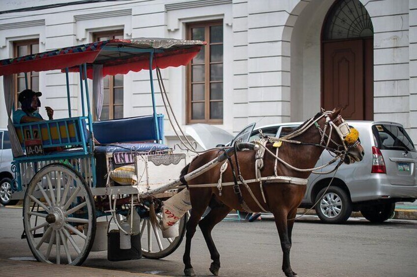 A horse-drawn carriage on a city street. 1
