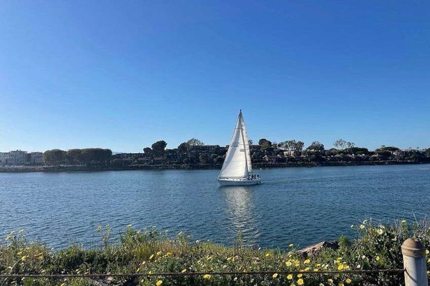 See sailboats in Marina Del Rey! 2