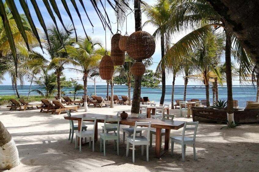 Un área de comedor frente a la playa, con mesas y sillas, palmeras y vistas al océano. 1