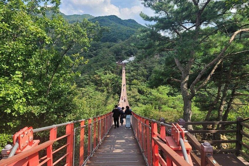 A wooden bridge with red railings, surrounded by lush greenery and trees. 2