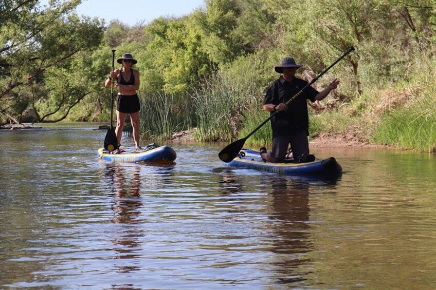 Two people paddleboarding on a calm river surrounded by greenery. 3