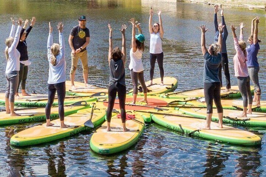 People practicing yoga on paddleboards in a body of water. 1