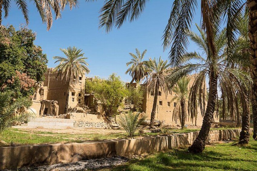 A historical site with palm trees, ruins, and a clear sky. 1