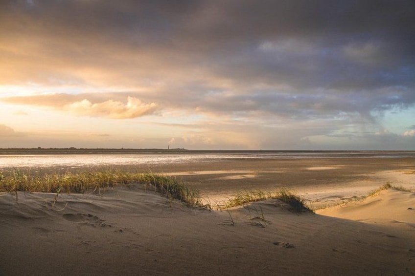 A beach with sand dunes and a cloudy sky. 4