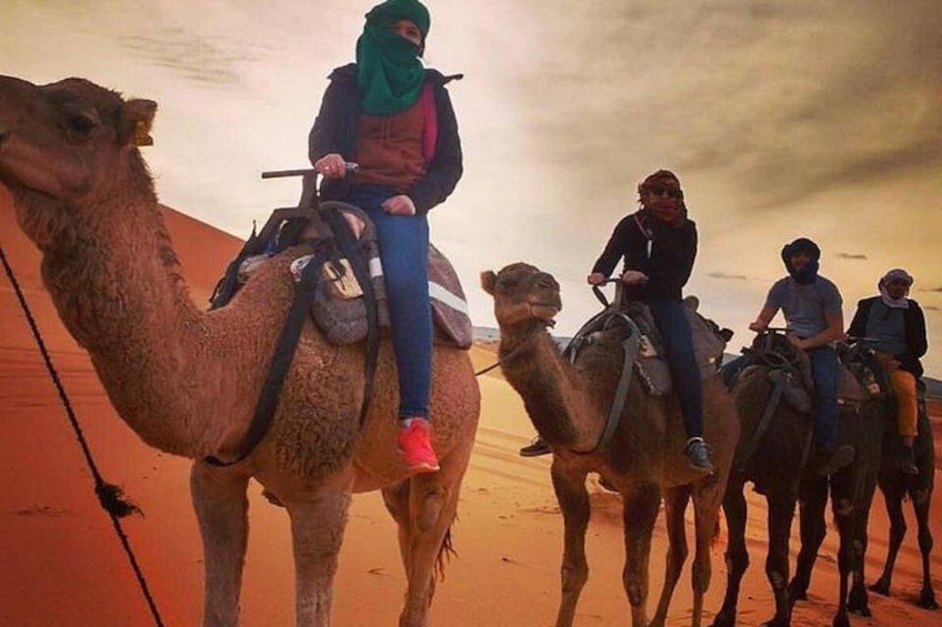 En grupp människor som rider på kameler i ett ökenlandskap. 5