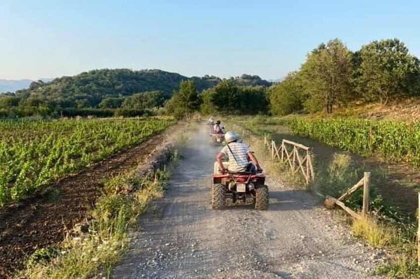 Alcantara Gorges Quad Tour 70% off road - 1 HOUR 5