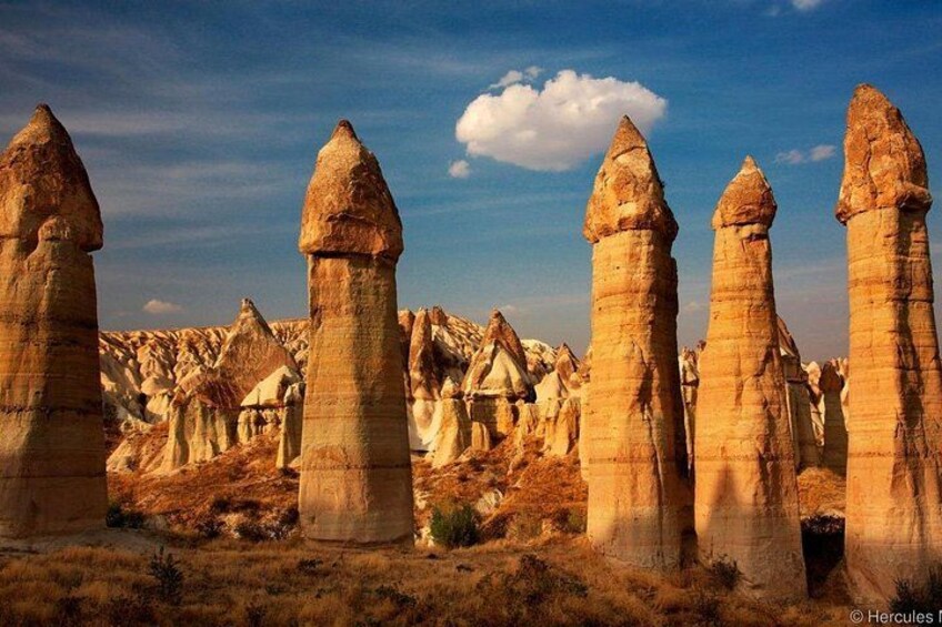 CHIMNEYS 5