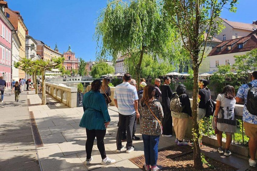 A pedestrian walkway with people walking, trees, and buildings in the background. 2