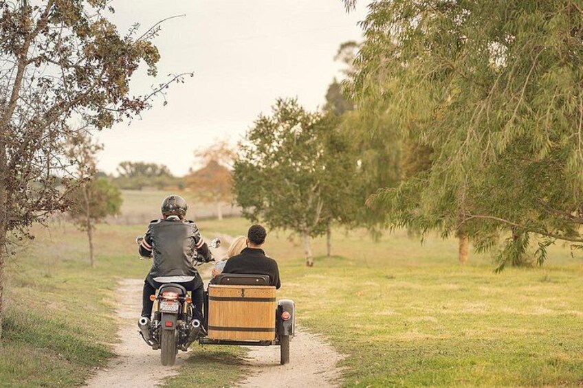 Sunset at the Vineyards Sidecar Wine Adventure Paso Robles 4
