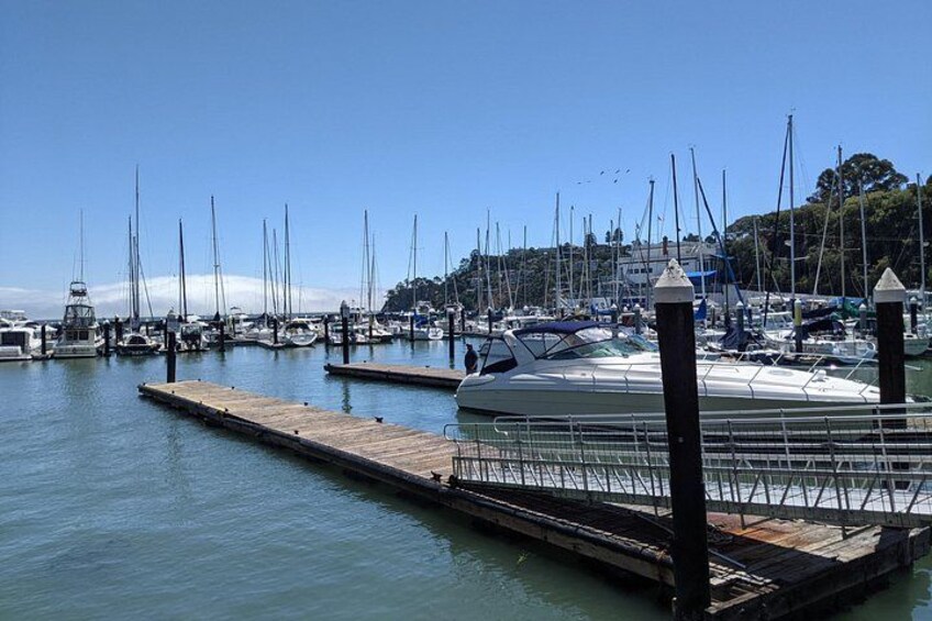 Muir Woods, Sausalito and Tiburon Day Trip from San Francisco 3