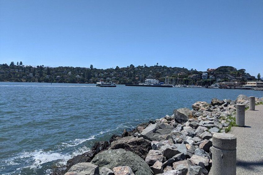 Muir Woods, Sausalito and Tiburon Day Trip from San Francisco 5