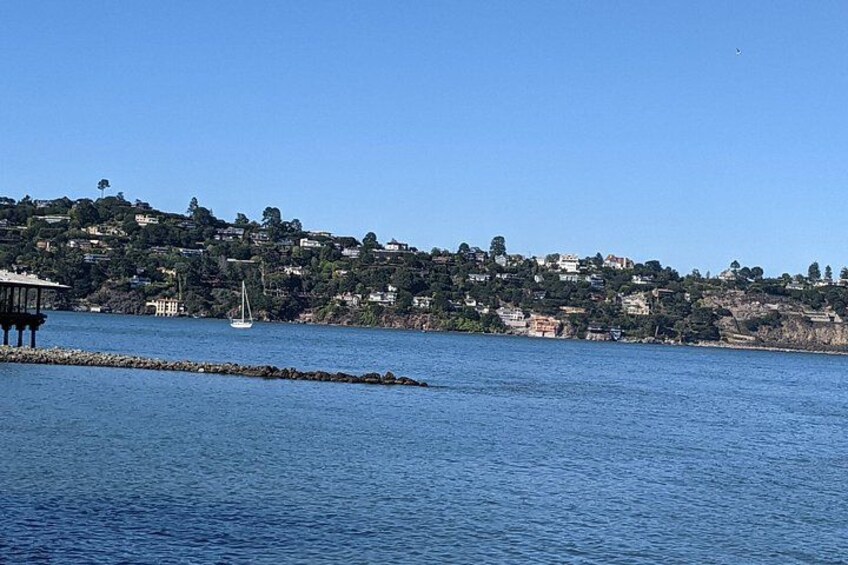 Muir Woods, Sausalito and Tiburon Day Trip from San Francisco 4